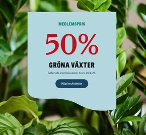 Blomsterlandet-katalog | 50% gröna växter! | 2025-01-13T00:00:00.000Z - 2025-03-24T00:00:00.000Z