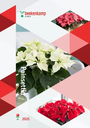 Hörnhems handelsträdgård-katalog i Sölvesborg | Poinsettia 2025! | 2025-02-03T00:00:00.000Z - 2025-12-31T00:00:00.000Z