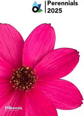 Hörnhems handelsträdgård-katalog i Bromölla | Perennials 2025! | 2025-02-03T00:00:00.000Z - 2025-12-31T00:00:00.000Z