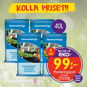 EKO-katalog i Örebro | EKO reklamblad | 2025-03-17T00:00:00.000Z - 2025-03-31T00:00:00.000Z