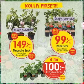 EKO-katalog i Borås | Våra bästa deals för dig | 2025-04-15T00:00:00.000Z - 2025-04-29T00:00:00.000Z