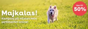 Zoo-katalog i Täby | Upp till 50%! | 2025-05-02T00:00:00.000Z - 2025-05-17T00:00:00.000Z