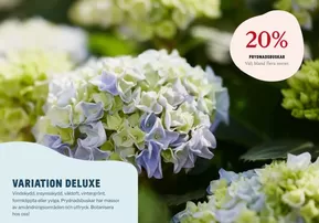 Blomsterlandet-katalog i Luleå | Variation deluxe 20%! | 2025-05-12T00:00:00.000Z - 2025-05-27T00:00:00.000Z