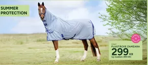 Summer protection!