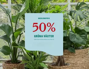 Blomsterlandet-katalog i Vellinge | 50% gröna växter! | 2025-05-29T00:00:00.000Z - 2025-06-08T00:00:00.000Z