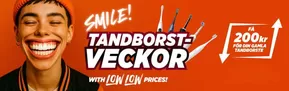 Power-katalog i Stockholm | Trandborst veckor! | 2025-05-29T00:00:00.000Z - 2025-06-12T00:00:00.000Z
