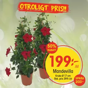 EKO-katalog i Örebro | Våra bästa erbjudanden för dig | 2025-06-05T00:00:00.000Z - 2025-06-19T00:00:00.000Z