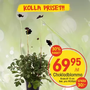 EKO-katalog i Örebro | Våra bästa fynd | 2025-06-07T00:00:00.000Z - 2025-06-21T00:00:00.000Z