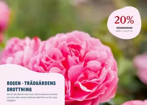 Blomsterlandet-katalog i Solna | Rosen upp till 20%! | 2025-06-23T00:00:00.000Z - 2025-07-06T00:00:00.000Z