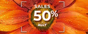 Yves Rocher-katalog i Linköping | Sale 50% allt! | 2025-07-02T00:00:00.000Z - 2025-07-17T00:00:00.000Z